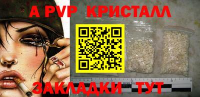 спиды Кингисепп