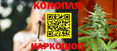 спиды Кингисепп