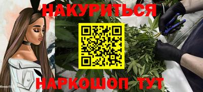 спиды Кингисепп