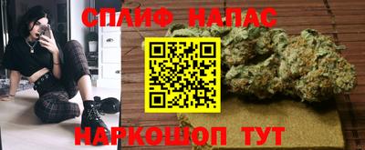 спиды Кингисепп