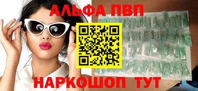 спиды Кингисепп