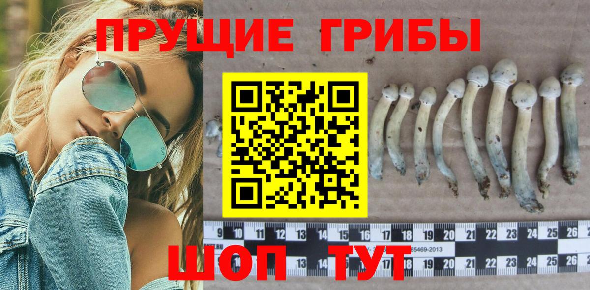 Галлюциногенные грибы ЛСД Глазов