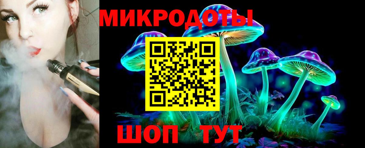 Псилоцибиновые грибы Psilocybe  Вход с VPN  Глазов 
